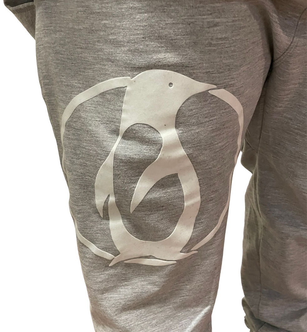 Thumbnail: Artic Hustle sweatsuit 