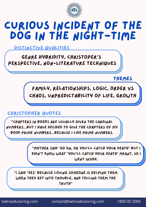 Curious Incident of the Dog in the Night Time - Visual Aid