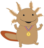 #1 on Google Axolotl