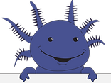 BTA Banner Axolotl