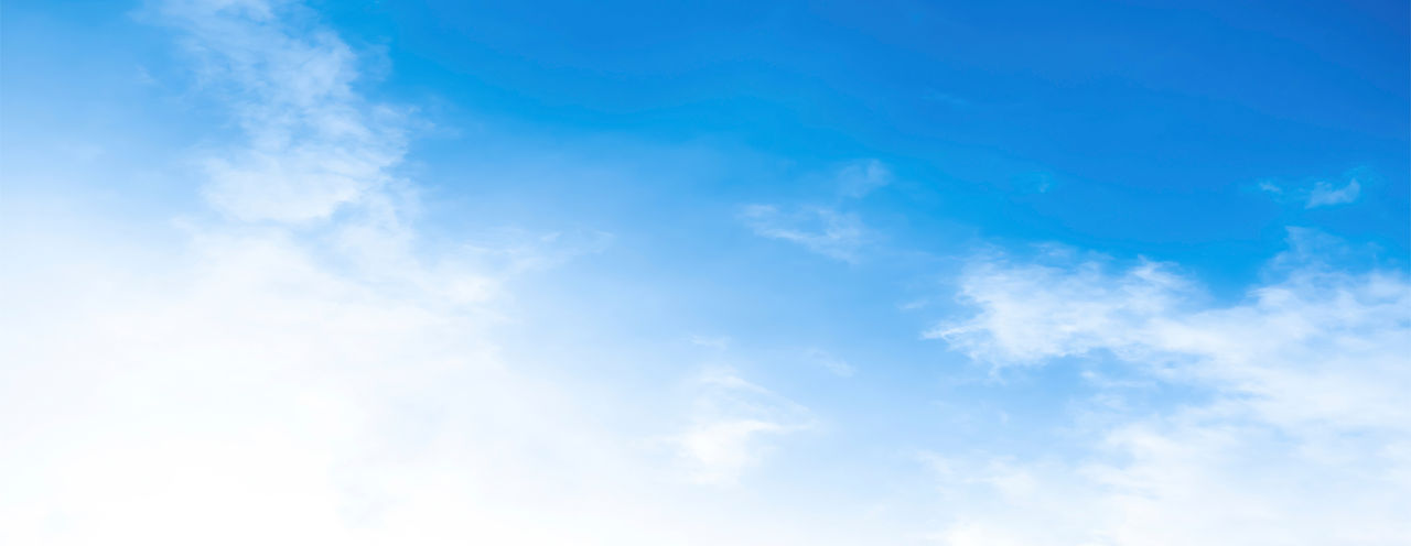shutterstock_1916007808.jpg