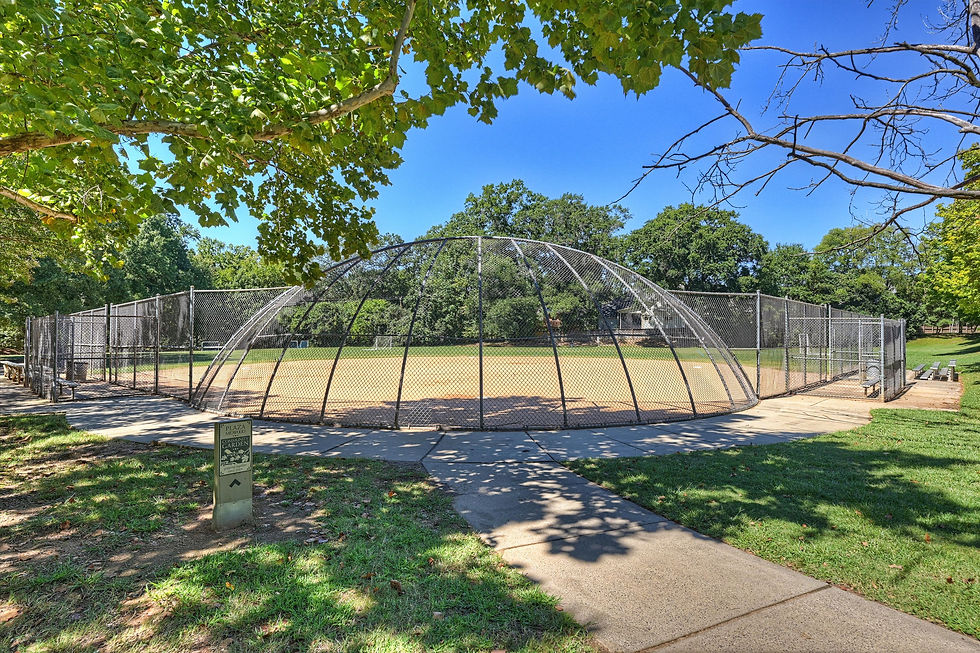 Empty fenced baseball field under blue sky, framed by green trees; sign reads Plaza Wood Community Garden.