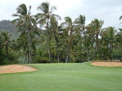Palm Trees and Mountain Views