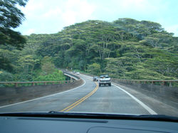 Pretty Curve after Leaving Hanalei