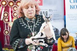 24-25 марта 2018