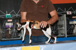 выставка по системеICU от 10-11 июня