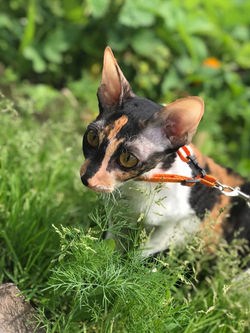 -29.06.2018ep3zjkOZwY.jpg1223