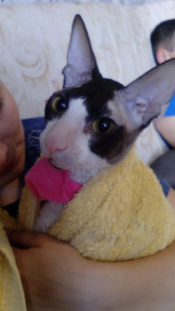 После ванны 25.03.2017