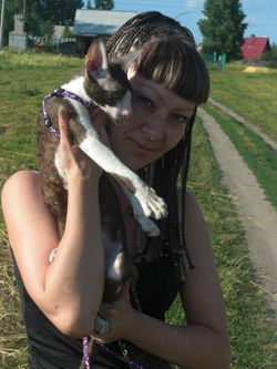 Marseilles Aster (7 мес.)