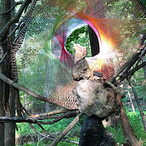 A portal to Nature string installation 
