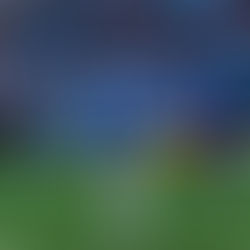 What Can We Expect From Charlotte FC in 2026? Season Preview