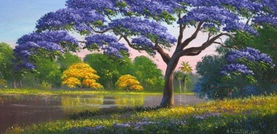 Jacaranda Tree.jpeg