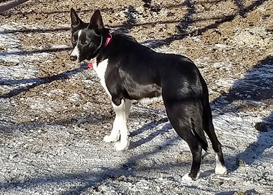 20190112_091821 (1280x1069).jpg