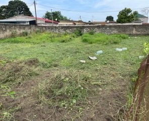 alentours du centre de Kinsoundi.jpg