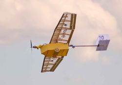 Projeto AFM-11