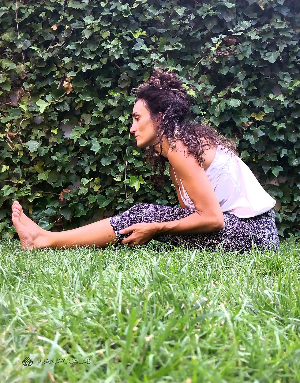 yoga pinza paschimottanasana