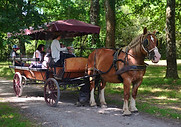 DSC_0089.jpg