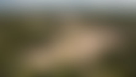 Equinoccio de Primavera 2026 en Chichén Itzá: Horarios, Costos y Guía Completa