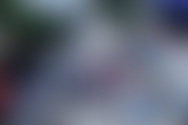 Compromiso por revitalizar la Quinta Avenida: alcaldesa y empresarios unen fuerzas.