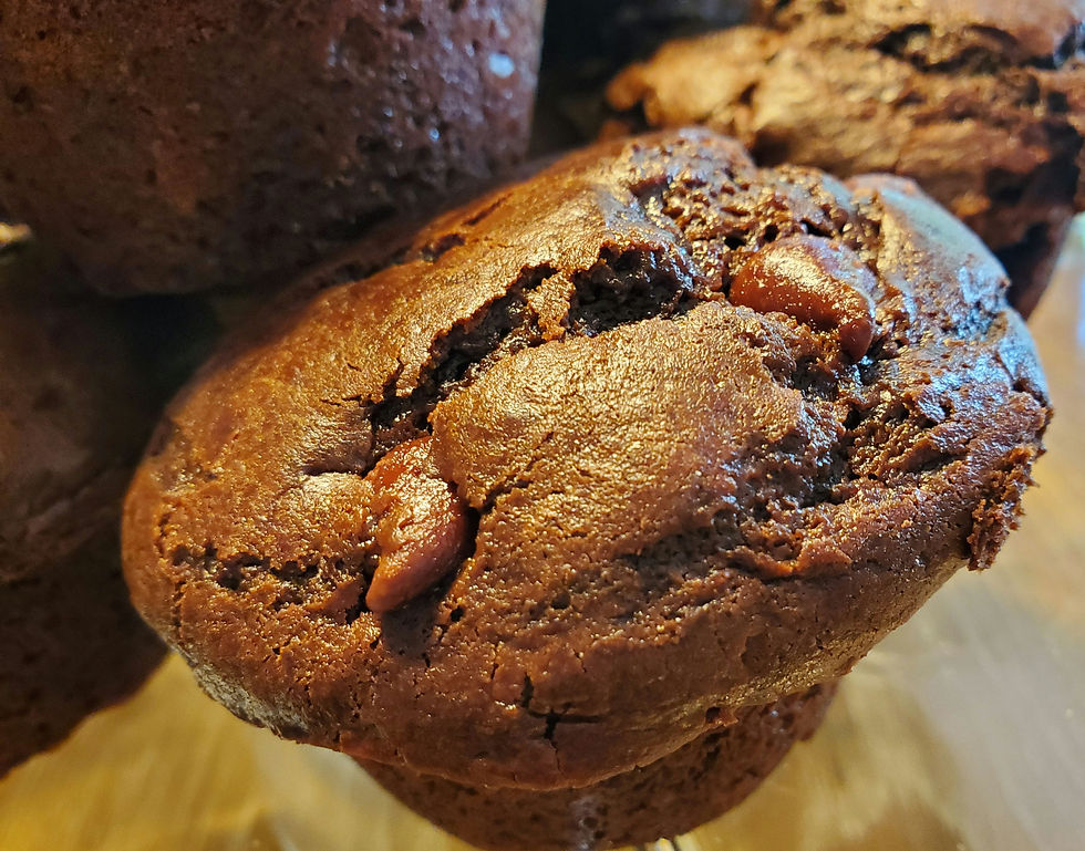 Triple Chocolate Muffin (6 pack) Blue Badger