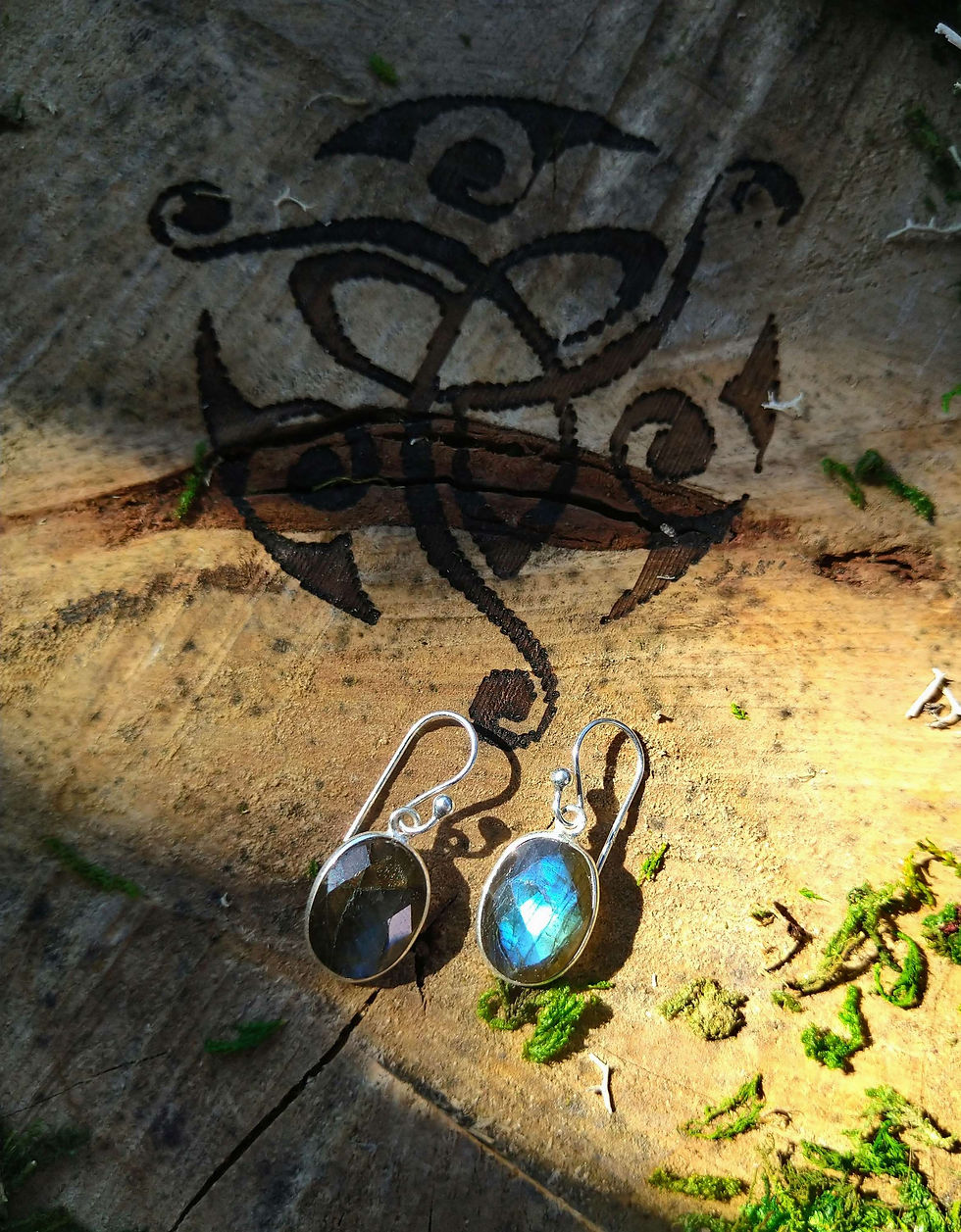 - Boucles d'oreilles en argent et Labradorites facettées -