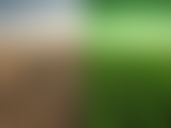 Como sair do modo sobrevivência e entrar no modo crescimento no agronegócio