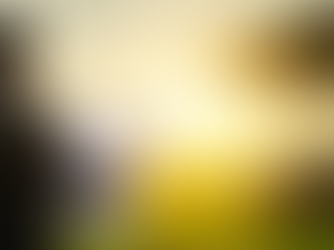 Financiamento para Expansão: Como Crescer de Forma Sustentável?