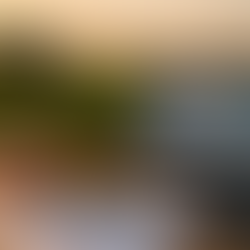 A Importância da Consultoria Financeira para o Produtor Rural