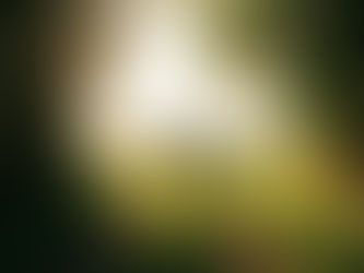 Por Que Mudar É Tão Difícil? A Neurociência dos Hábitos e da Resistência à Mudança