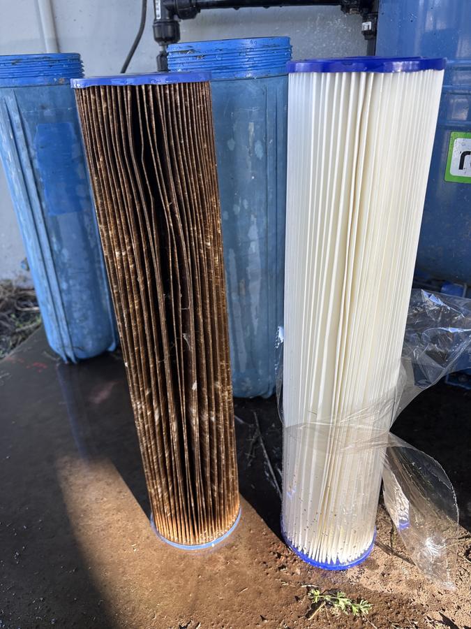 What came out: The used sediment filter next to a new one. Everything caught in that filter was heading for the taps.