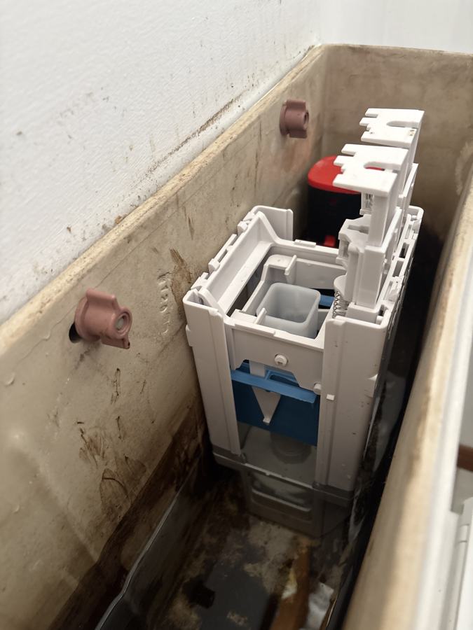 New parts: New flush valve and inlet fitted inside the cistern.
