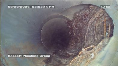 Drain camera footage of tree roots inside a pipe