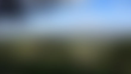 Wine Tasting and Carmel