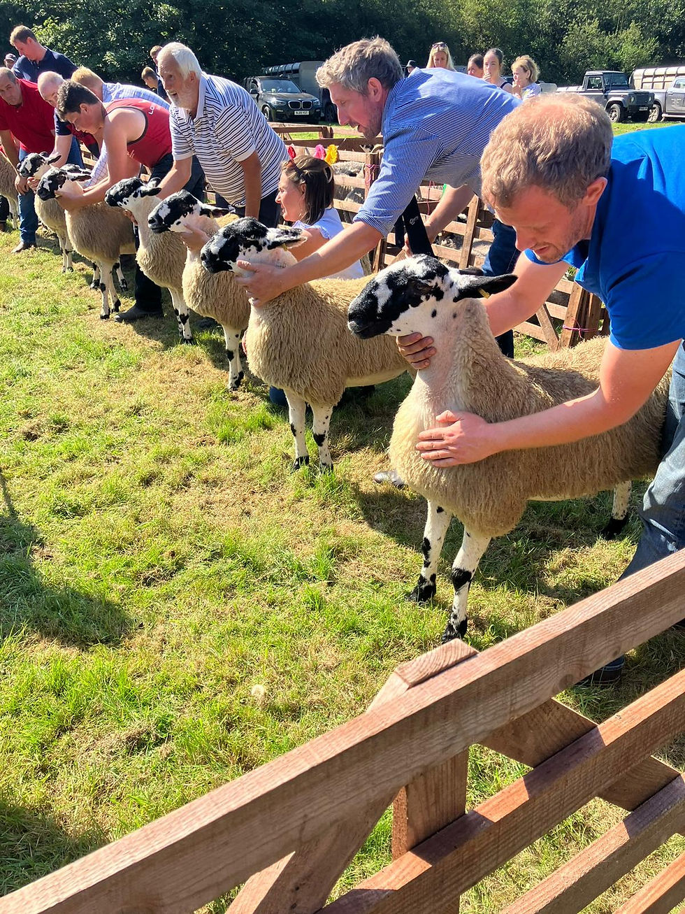 Abbeystead Show : R to L : Phil Pye, Chris Pye, Charlotte Pye and Alan Pye