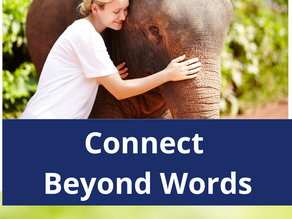 Connect Beyond Words