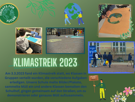 Klimastreik am 03.03.2023 - ein Schülerbeitrag
