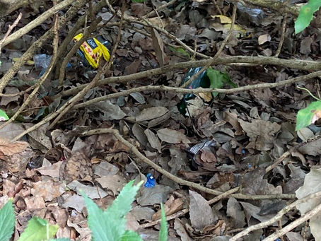 World CleanUp Day 2022
