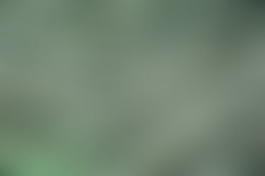 2- Les empreintes de pneus