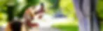 bilan évaluatif chien.webp
