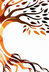 Amadeus Logo-2025_02_12-0_edited_edited_