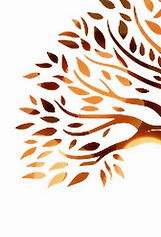 Amadeus Logo-2025_02_12-0_edited_edited_