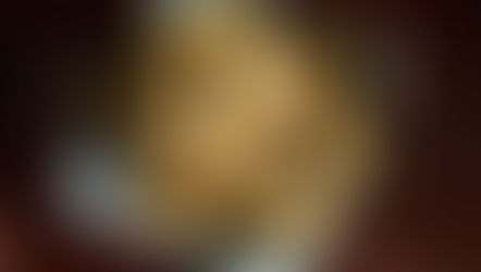 Fresh Herb Spoon Rolls