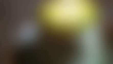 Dog Birthday Cake: Chronos' 1st