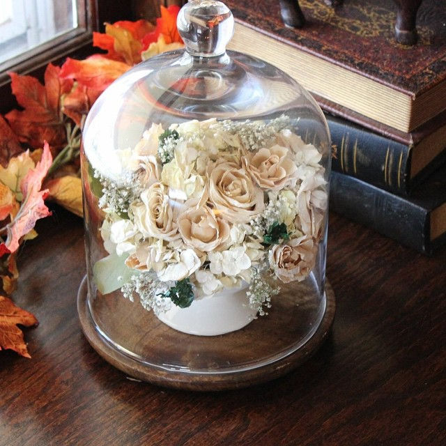 Thumbnail: Small Dome Display