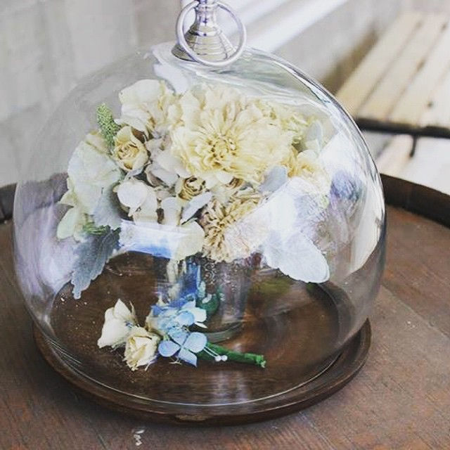 Thumbnail: Small Dome Display