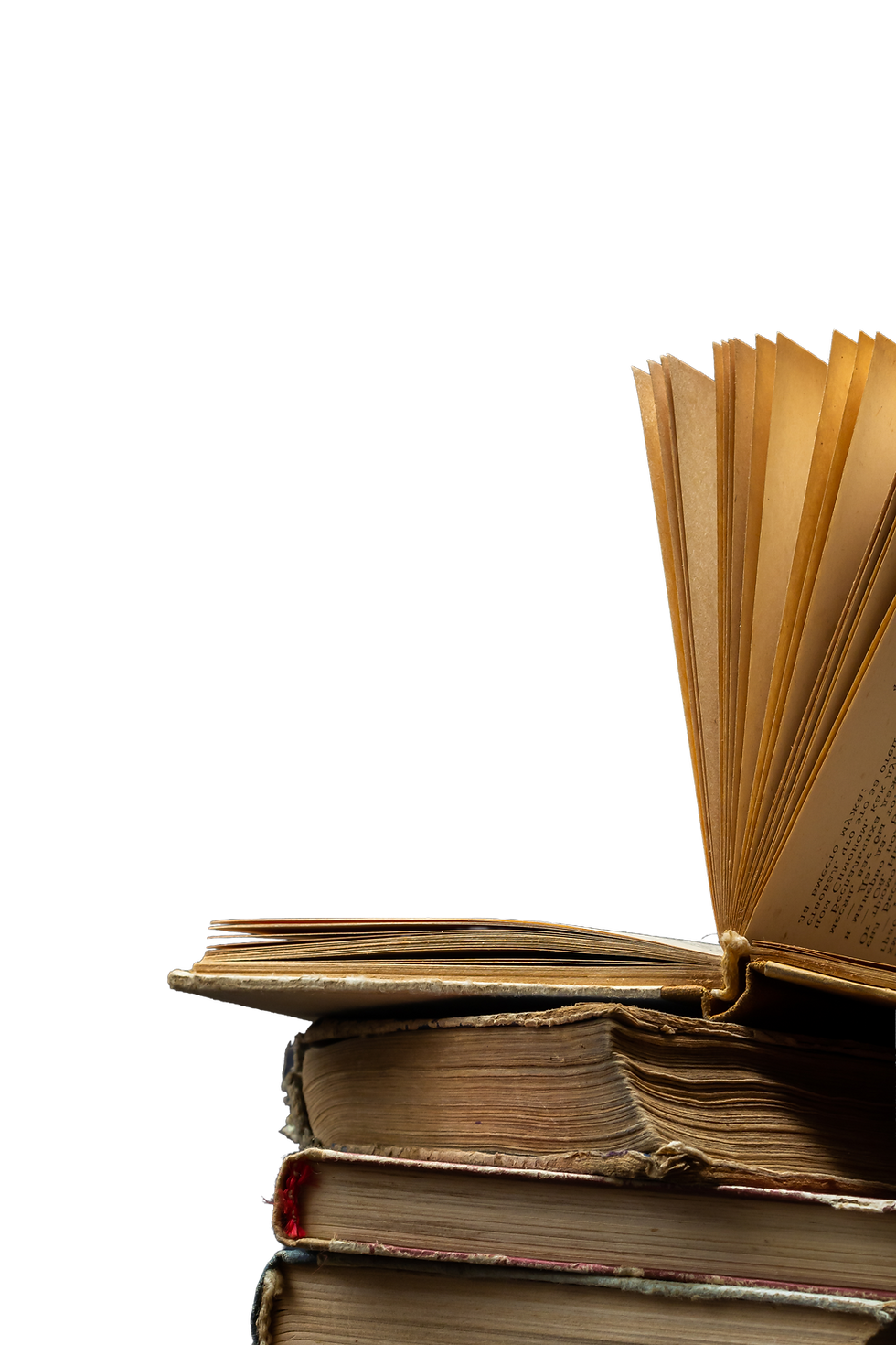AdobeStock_677537346.png