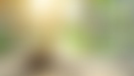 聞いていたつもりのとき、あなたはどこにいるのか
