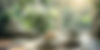 AdobeStock_866918526.jpeg