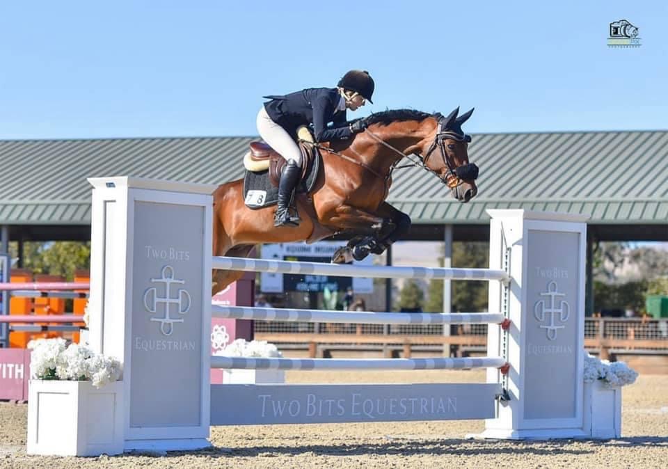 About JB Horse Standards Horse Jumps