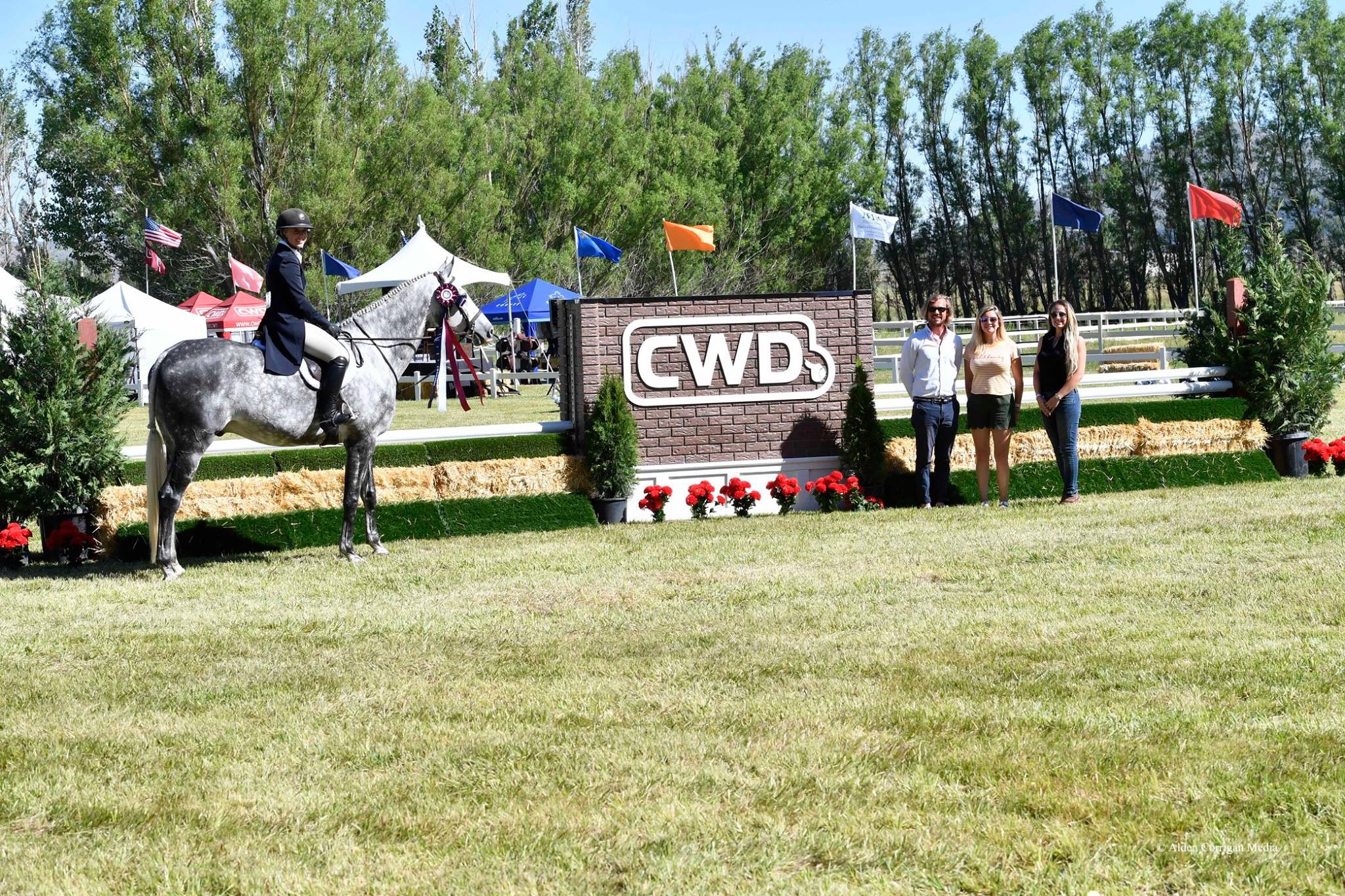 About JB Horse Standards Horse Jumps